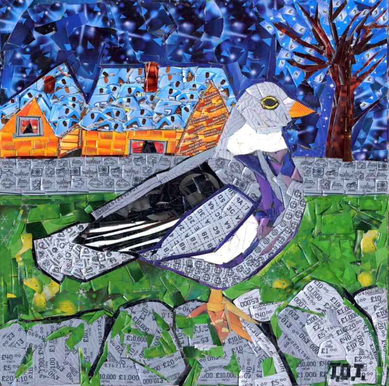 Pigeon At Home Greetings Card