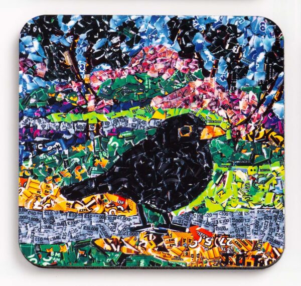 Blackbird Coaster
